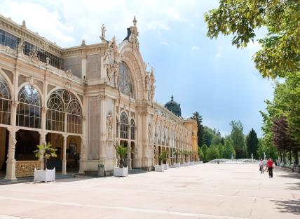 PROČ SPOLUPRACOVAT SE SPA.cz Letitá zkušenost a poradenství v oblasti wellness a lázeňství Nabídka exkluzivních pobytů pro Vaši společnost Sleva z celé katalogové nabídky Spa.