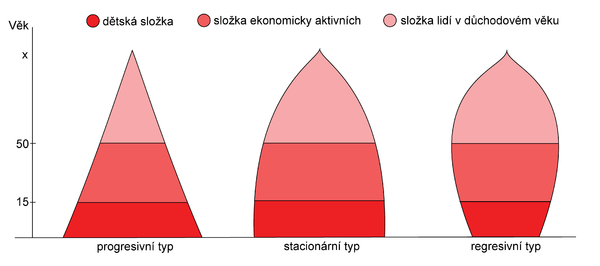 Obrázek č. 1 - Věkové pyramidy(zdroj: http://commons.wikimedia.org/wiki/file:typy_vekovych_pyramid.png) Průměrný věk patří k základním ukazatelům charakterizující strukturu obyvatelstva.