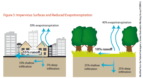Opatření na snížení účinku UHI zvyšování albeda podílu odrazivosti povrchů a budov zvětšování podílu vegetačního krytu zelené střechy, parky, uliční zeleň RULES AND REGUL ATION SET UP snižování