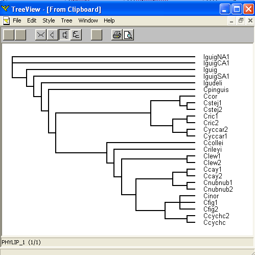 Strom v závorkové konvenci lze vložit např. do TreeView a zobrazit v grafické podobě (IguigNA1_:0.00221,(Iguig:0.01733,(((Cpinguis:0.05228,((((Cstej1:0.00012, Cstej2:0.00098):0.00354,Ccor:0.00543):0.