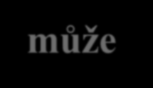 1. Implicitní teorie stability a změny (Ross, 1989).