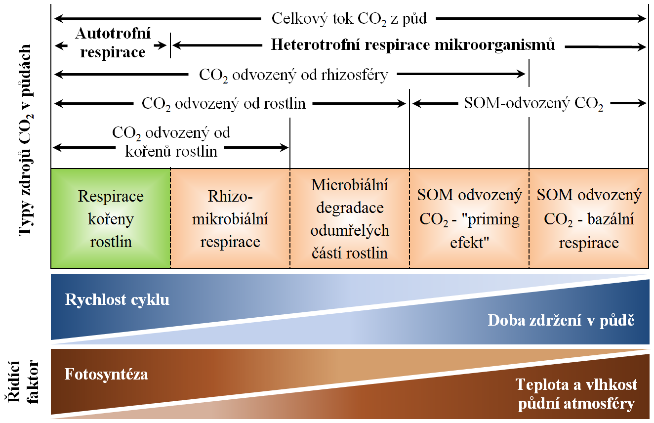 Obr. 4: Zdroje CO 2 v půdách. Sestaveno podle Kuzyakov (2006) a Kuzyakov Gavrichkova (2010).