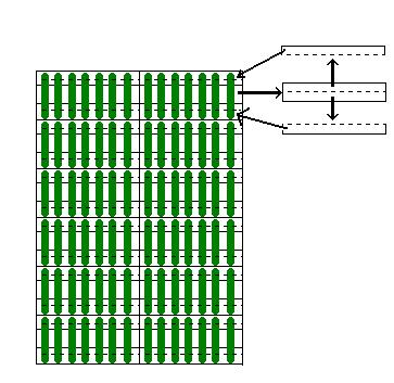 Obr. 3. Způsob ukládání listových segmentů na vodní agar Takto připravené segmenty se přímo infikují postřikem (rozprašovač) suspenzí spor.