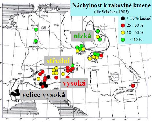 Podobně dvě mezinárodní série pokusních ploch (1946 a 1956-57) s proveniencemi modřínu ukázaly, jak velký je vliv geografického původu na růst, kvalitu kmene a zejména náchylnost na rakovinu kmene