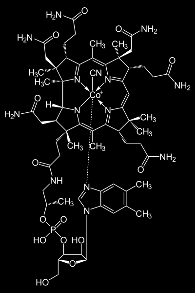 Také termín vitamín B12, podobně jako v předchozím případě, odkazuje na skupinu fyziologicky aktivních látek, které se chemicky nazývají kobalaminy či korinoidy.