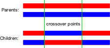 4 KAPITOLA. ÚVOD Celá populace λ jedinc X = µ jedinc Selekce µ jedinc (x, x, x 3,... x n ) (x, x, x 3,... x n ) (x 3, x 3, x 33,... x 3n ). (x λ, x, x 3,... x λn ) (x, x, x 3,... x n ) (x, x, x 3,... x n ) (x 3, x 3, x 33,... x 3n ). (x µ, x, x 3,.