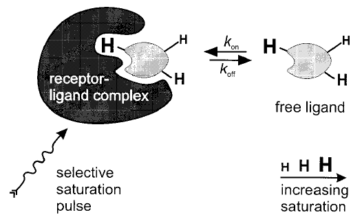 STD Saturation transfer difference Interakce protein-malá molekula Ozáření proteinu a přenos