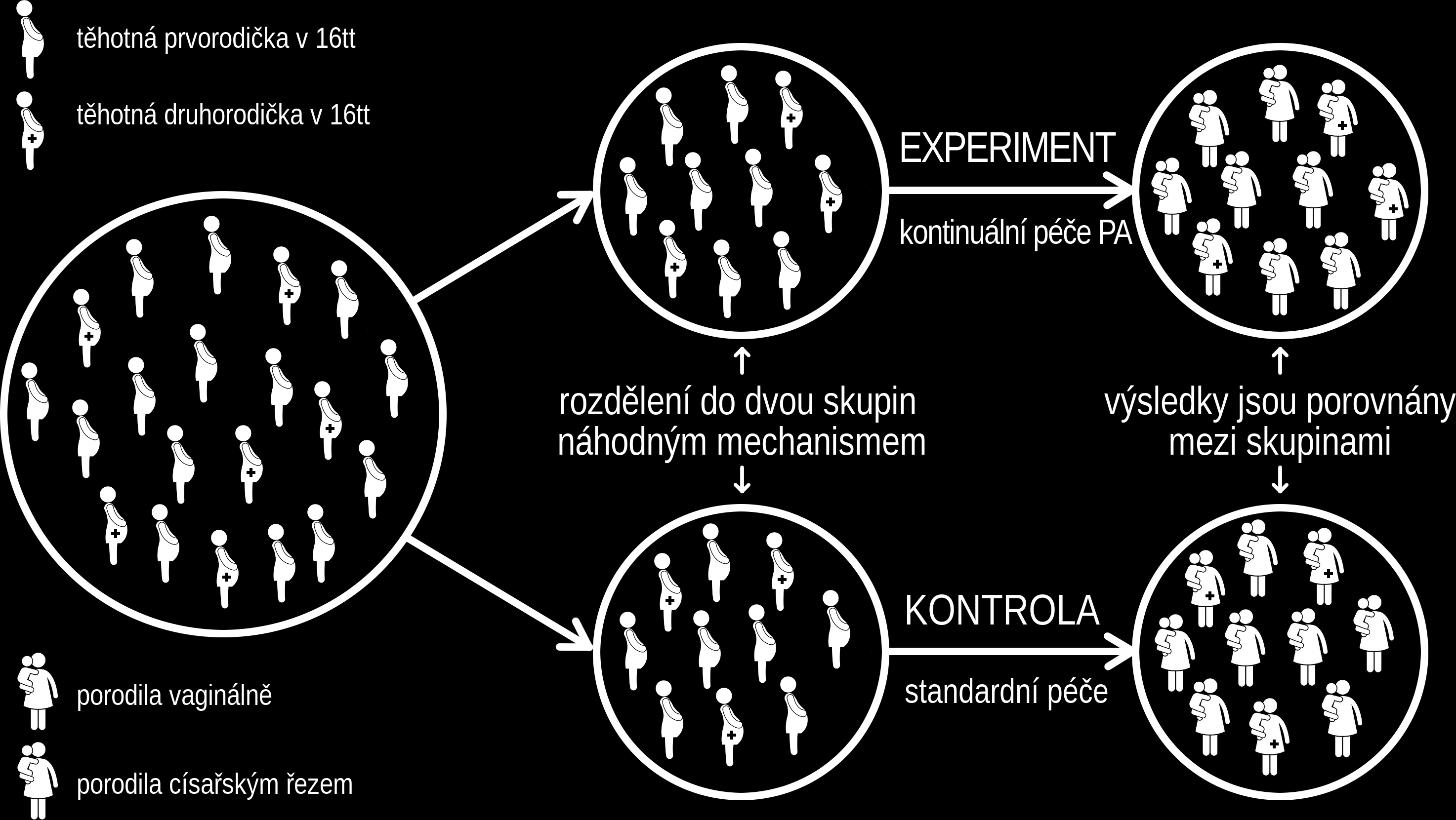 RANDOMIZOVANÁ STUDIE McLachlan HL et al.