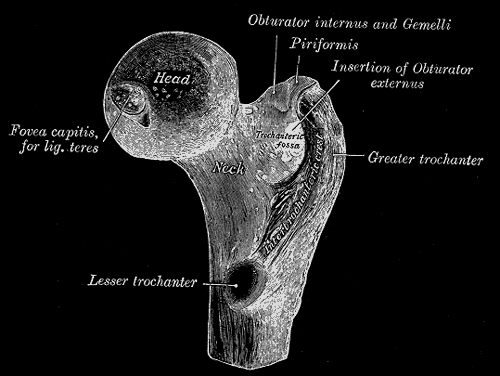 slices (2) Frontal slice (3) Axial