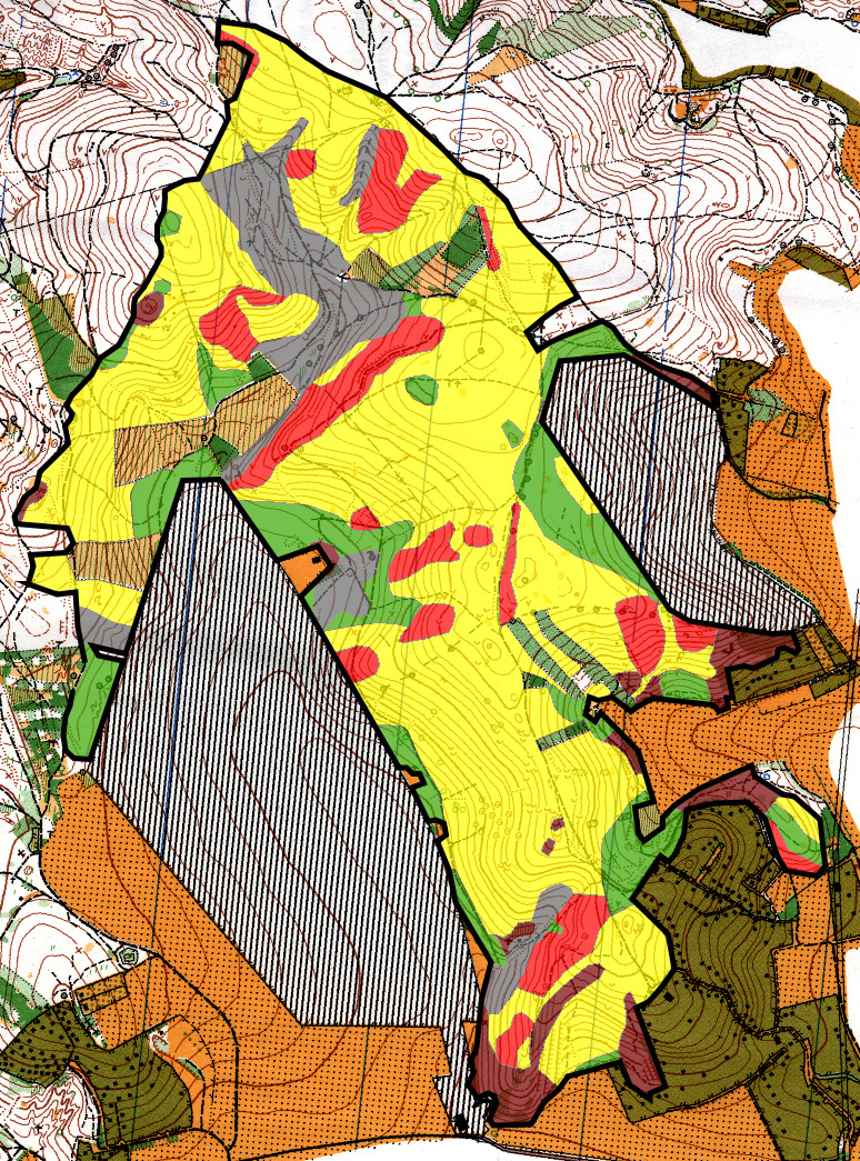 Obr. 3: Mapa území, černě obtažené. Subjektivně vymezené vegetační typy jsou odlišené barvami. 3.1.3. Metody výběru snímků Použil jsem čtyři metody výběru fytocenologických snímků.