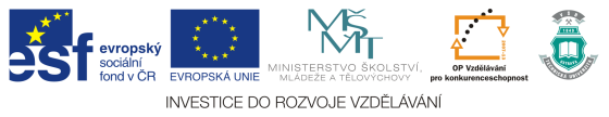 Vysoká škola báňská Technická univerzita Ostrava Fakulta bezpečnostního inţenýrství Laboratoř výzkumu a managementu rizik