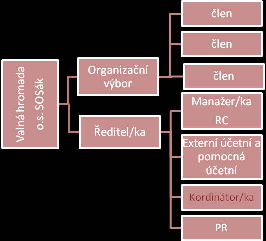 Organizační