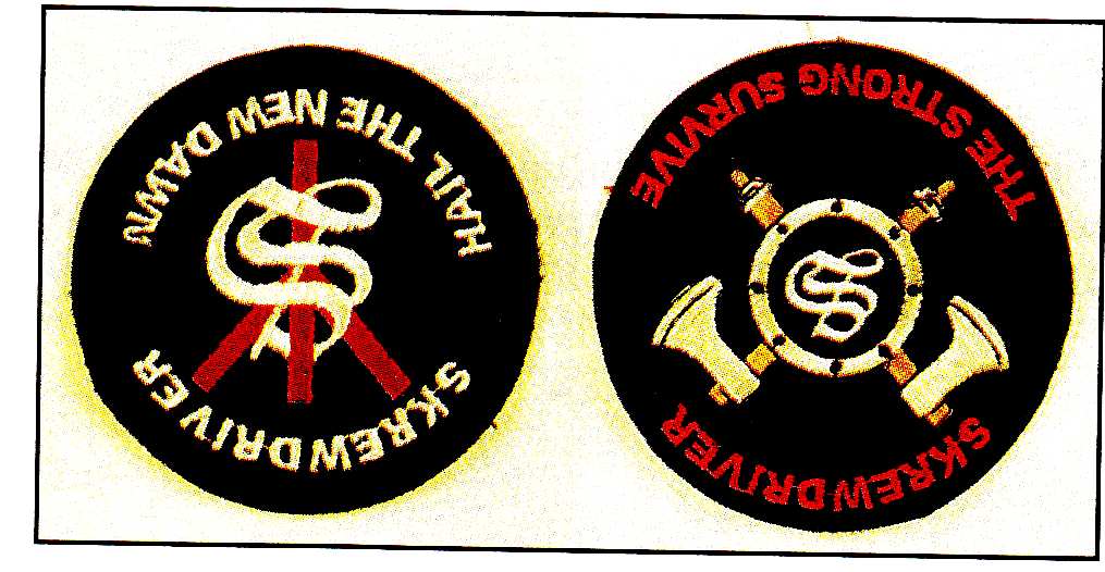 Obrázek 40. Nacistické odznaky, vyznamenání a medaile (Chmelík, 2000) 3.6.