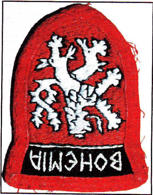 Obrázek 46. Nášivky hnutí skinhead, zobrazení lebky s nápisem proti rasovým předsudkům (Chmelík, 2000) Obrázek 47. Logo SHARP skinheads (Mareš, 2006) 3.