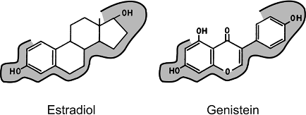 Fytoestrogeny se váží na dva typy estrogenových receptorů: receptory α (ERα) a β (ERβ). Tyto receptory se částečně liší svou distribucí v jednotlivých tkáních a afinitou k ligandům.