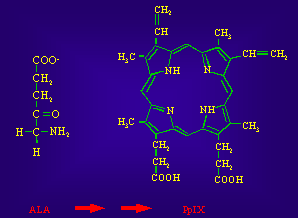 G-kvadruplexy detektory kovů G-kvadruplexy (G4) tvoří komplexy s aniontovými porfyriny heminem, N- methylmesoporfyrinem IX (NMM) protoporfyrinen IX (PPIX) G4/hemin, vykazuje peroxidázovou aktivitu