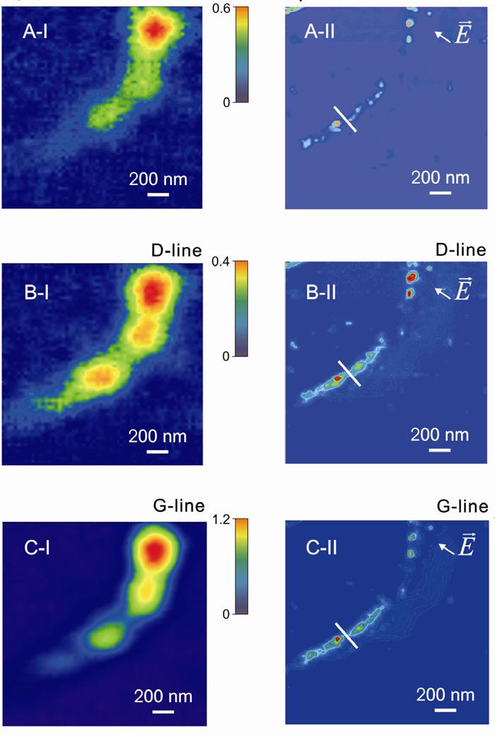 Zobrazení v režimu TERS Svazek SWCNT ve vibračních modech RBM (290 cm -1 ) D ( disorder 1300 cm -1 ) G+