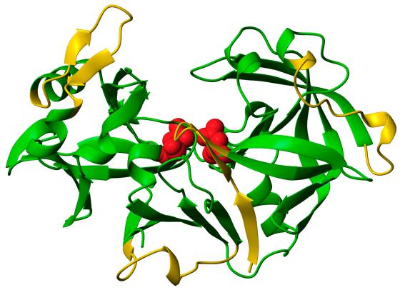 bílkovin, vstřebávání železa, ) optimální teplota 37 38 C, ph 1,5 2 další enzymy: katepsin, kaseinogen Pankreas