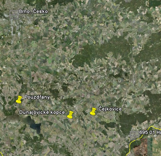 Lokalita Označení Počet %P He vzorků Liščí kopec 1 G 10 31,7 0,119 Liščí kopec 2 H 10 0,7 0,002 Liščí kopec 3 I 10 3,5 0,006 Čejkovice J 10 4,5 0,011 Pouzdřany K 10 1,0 0,002 n Ht Hw Hb Fst 5 0,2957