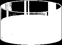 Positive ELISA Test