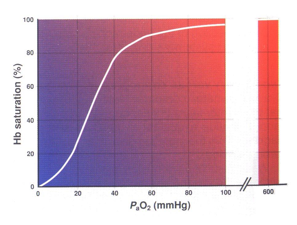 Disociační křivka oxyhemoglobinu Seymour Ch, Duke-Novakovski T: BSAVA