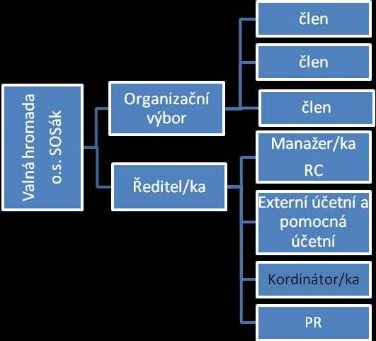 Organizační