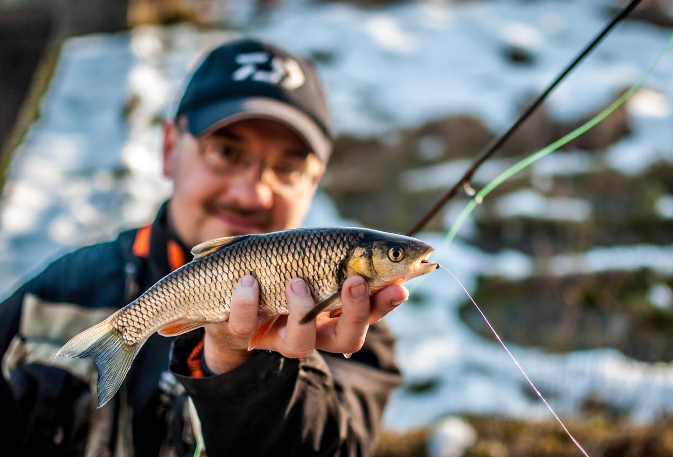 Bojoval prekvapujúco silno. Potom už aktivita rýb ubúdala. Ešte som plánoval skúsiť prechytať s nymfami jeden hlbší, prúdivejší úsek, ale už tam niekto chytal na plavák. Trafila ma jedna myšlienka.