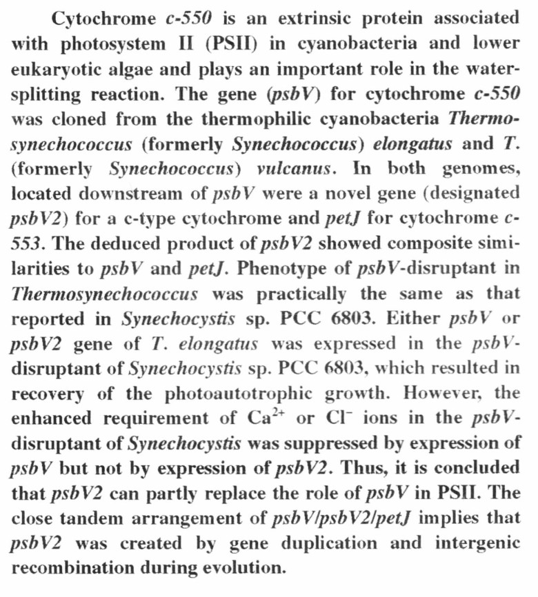 Thermosynechococcus Katoh et al.