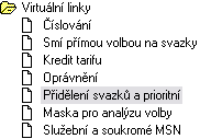 Dále musíme pro virtuální linky nastavit alespoň jedno oprávnění. Volbu používat šetřící automat nezaškrtáváme, protože při hovoru přicházejícím z VoIP modulu se neuplatní!