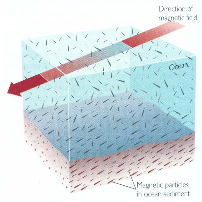 magnetické minerály, které krystalizují z magmatu jsou orientovány podle stávajícího magnetického pole podle inklinace (tj.