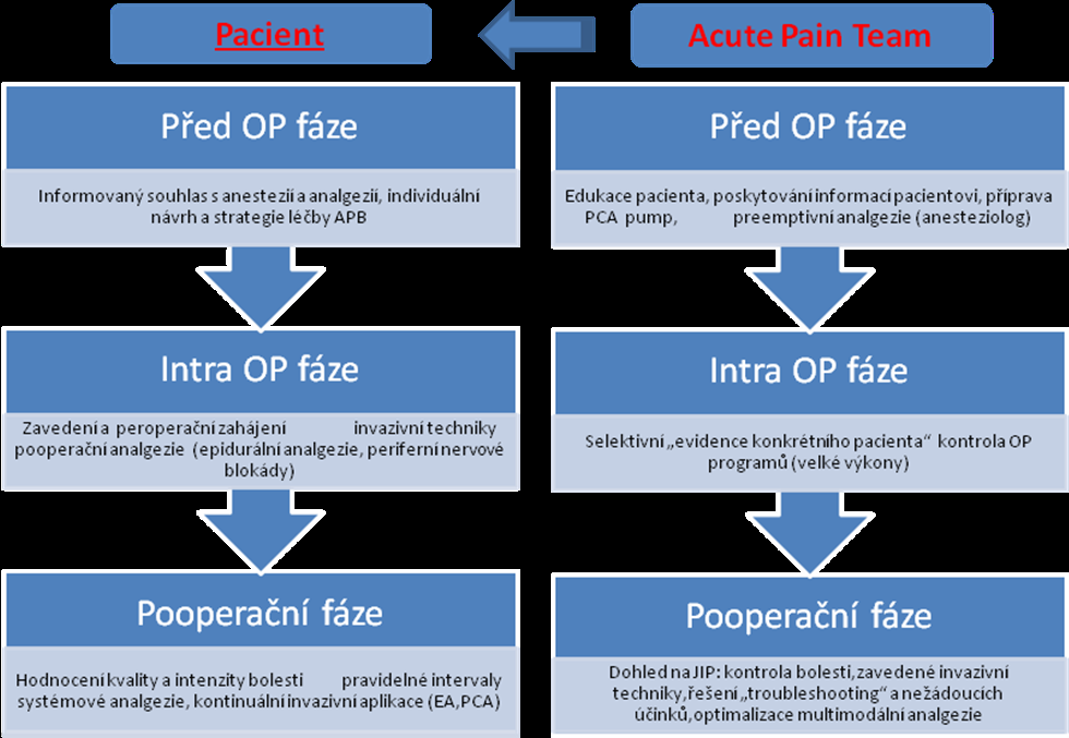 Obrázek č. 4. Perioperační období ve vztahu k analgezii. Leštianský, B., Hakl, M., Organizace léčby akutní pooperační bolesti ve FN u sv. Anny v Brně, Paliatívna Med.