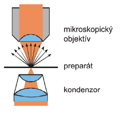 paprsky lámou a dojde k jejich rozptýlení a část se dostane do zorného pole objektivu mikroskopu. Detaily a jemná struktura pozorovaného objektu poté září na tmavém poli.