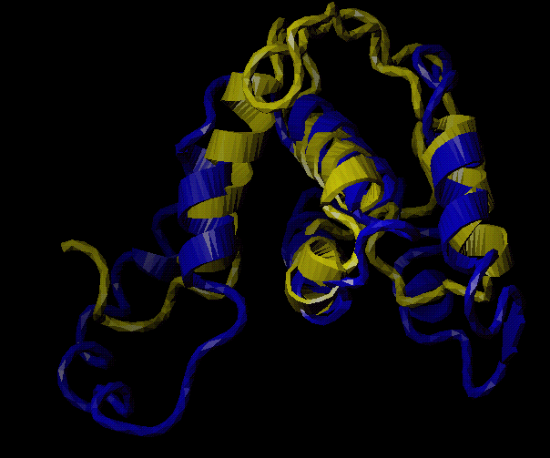 Interferon gamma Aktivace makrofágů vyvolaná působky T lymfocytů, jakým je mimo jiné Interferon gamma, je vynikajícím obranným mechanismem.