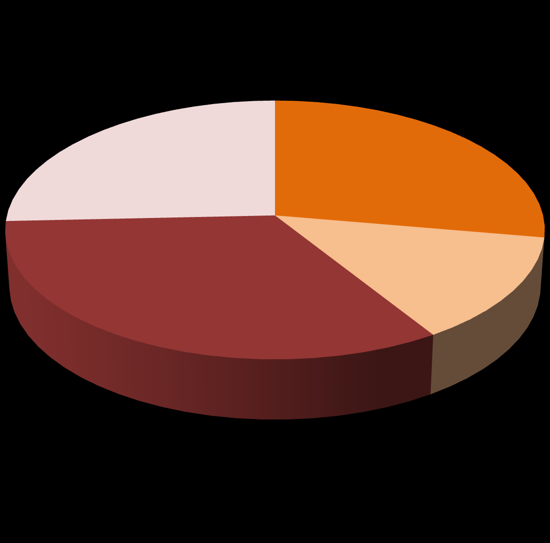 Ekonomická stránka Struktura výdajů farnosti v letech 2001-2013 1 800 842,00 Kč 1 941 764,05 Kč