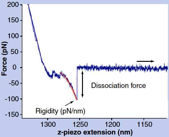 force spectroscopy: a method for