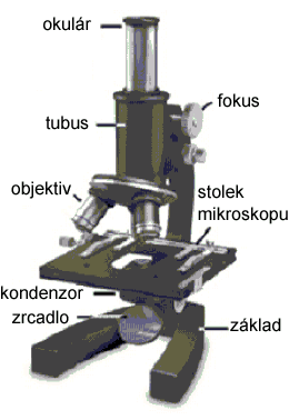 V roce 1846 v Jeně založil dílnu pro jemnou mechaniku. Spolupráce s E.