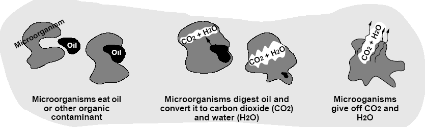 Ochrana před chemickou degradací Sanace Biologické metody Bioremediace Princip: - spontánní destrukce kontaminantů díky přírodní biodegradaci mikroorganismy - dostatek vhodných živin, vhodná teplota,