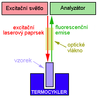 Real-time PCR (R-T PCR) Základem real-time PCR je klasická PCR se 2 primery, ale s fluorescenční sondou, což umožňuje kontinuálně monitorovat přírůstky amplikonů během každého cyklu (u klasického PCR