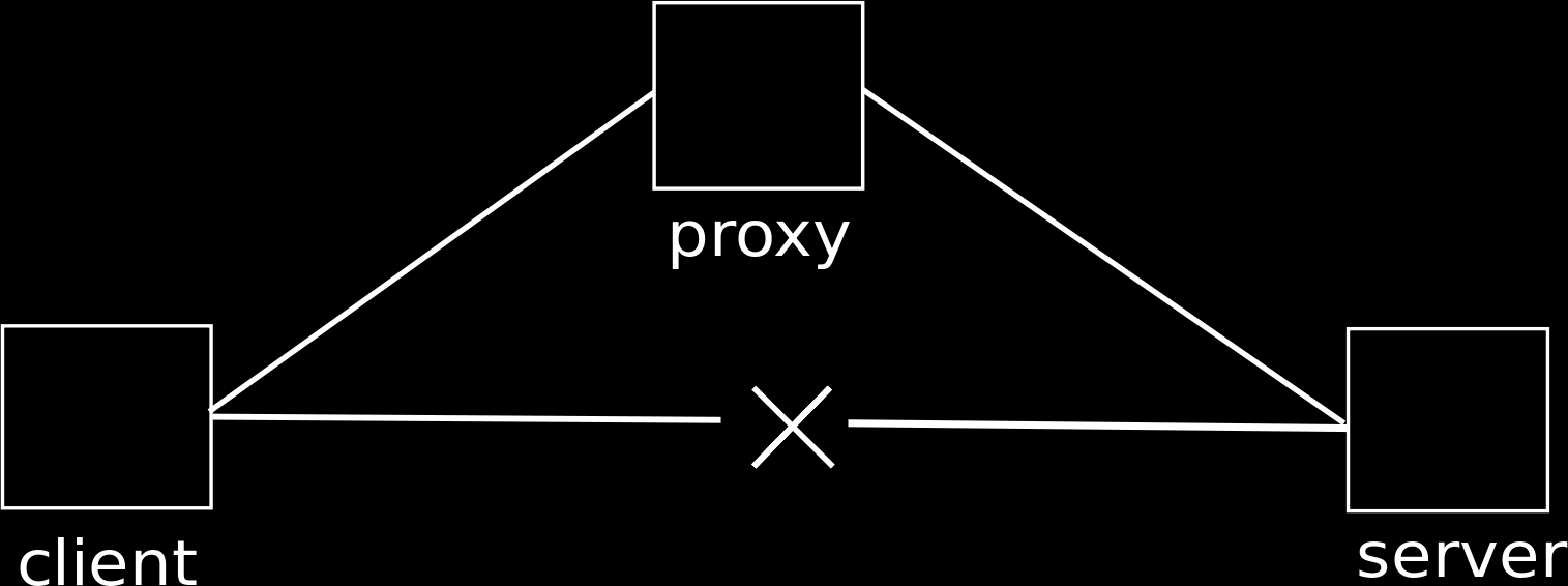 Kapitola 3 Proxy Jedním z nejjednodušších způsobů pro skrytí identity na internetu jsou tzv. Proxy servery.