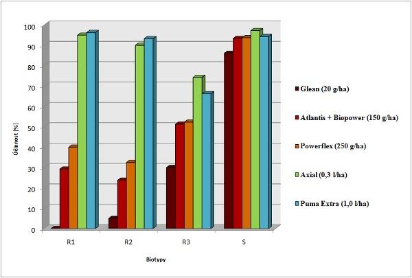 Graf 5: Účinnost herbicidů v doporučených dávkách na tři rezistentní (R1, R2, R3) a jeden citlivý (S) biotyp.