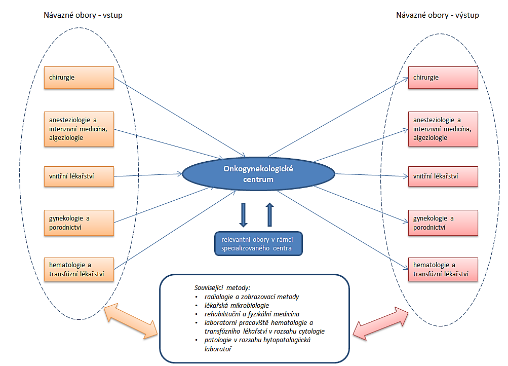 Schéma 6 Horizontální model koncentrace péče v návaznosti na vysoce specializovaná onkogynekologická centra Perinatologická centra Lékařské obory neonatologie anesteziologie a intenzivní medicína