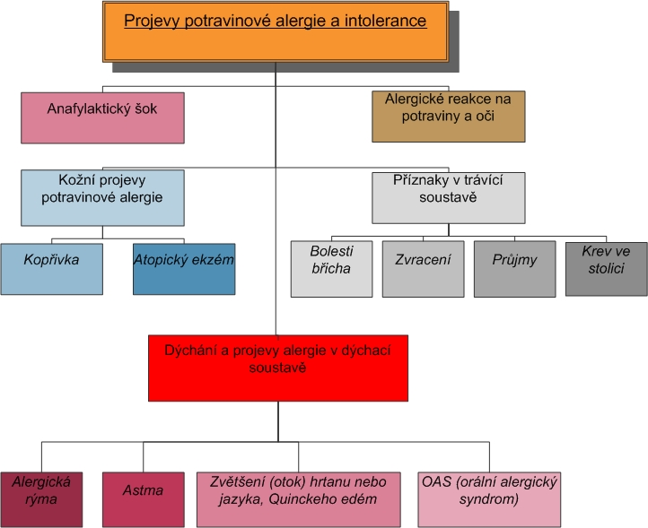 UTB ve Zlíně, Fakulta technologická 54 V případě respiračních potíţí se odhaduje, ţe aţ jedna třetina kojeneckých recidivujících obstrukčních bronchitid (resp.