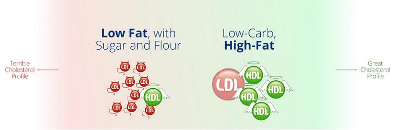 18 Cholesterol Zbytečnou obavou z tuku a cholesterolu začala epidemie obezity a diabetes. Moderní věda dokazuje, že to byla chyba. Mysleli jsme si, že všechen cholesterol byl škodlivý.