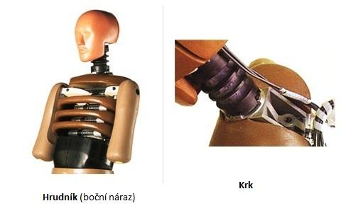 Obr. 4 Dummies detail hrudi a krku [4] Hrudník (Hybrid III): Hybrid III má žebra vyrobená z oceli vybavené zařízením, které snímá deformaci hrudníku během čelního nárazu.