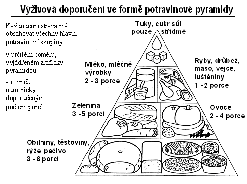 3.3.7 Potravinová pyramida 3.3.7.1 Charakteristika potravinové pyramidy Potravinovou pyramidu sestavili odborníci jako názornou pomůcku výţivových doporučení.