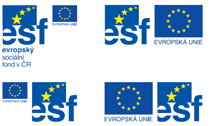modrou barvu vlajky nahradí bílá s černým outlinem modrou barvu nápisu EU nahradí černá ţlutá je nahrazena černou barvou Jednobarevná varianta při pouţití modré barvy (reflexní modrá): Modrá barva je