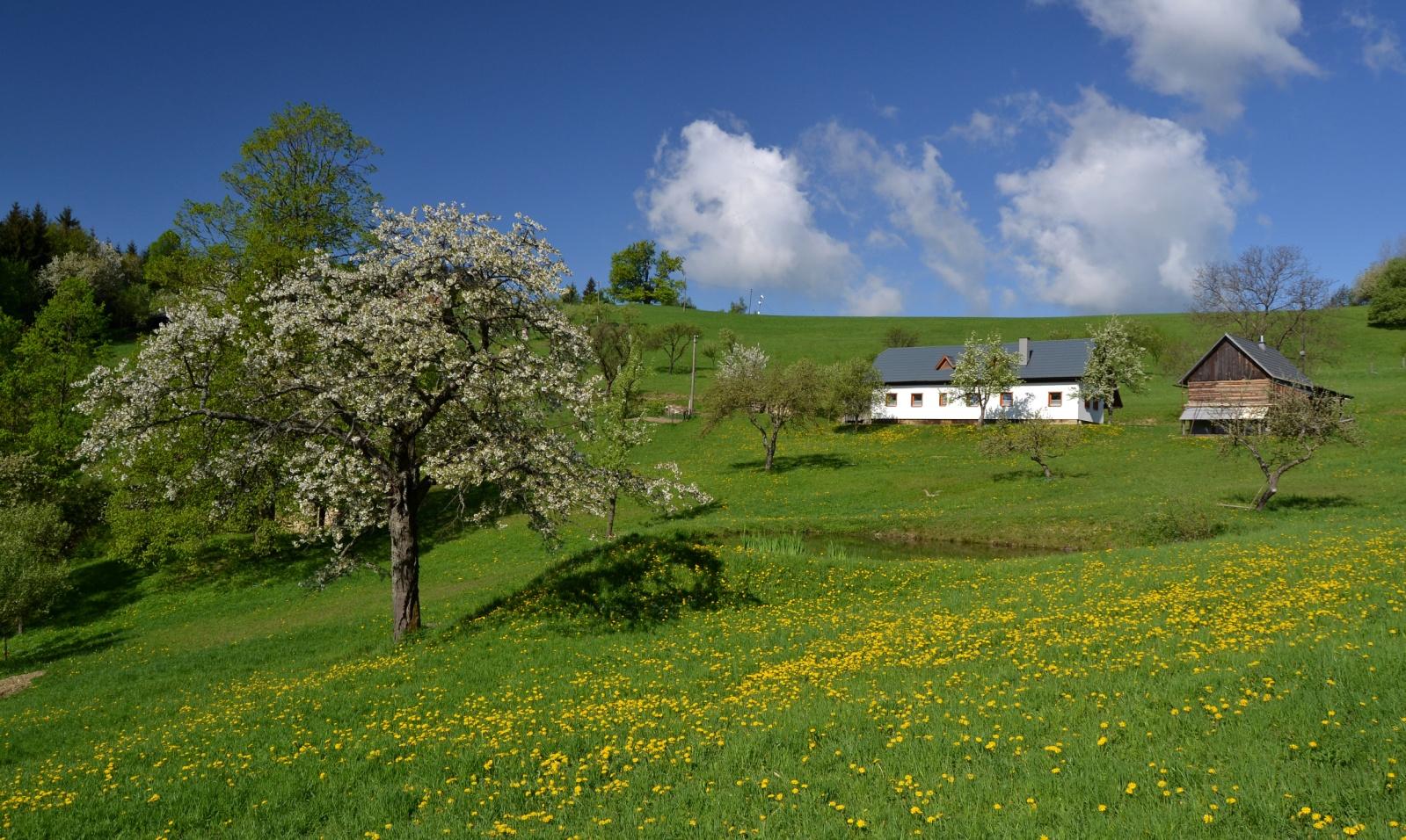 OCHRANA BIODIVERZITY 2015 Monitoring / podrobné mapování určité lokality