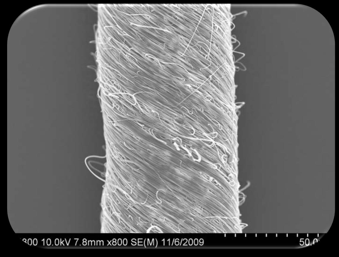 Nanokompetence Bio-sonda příze z nanovláken pro manipulaci s velmi malým množstvím kapalin (motýlí sosák) Clemson University