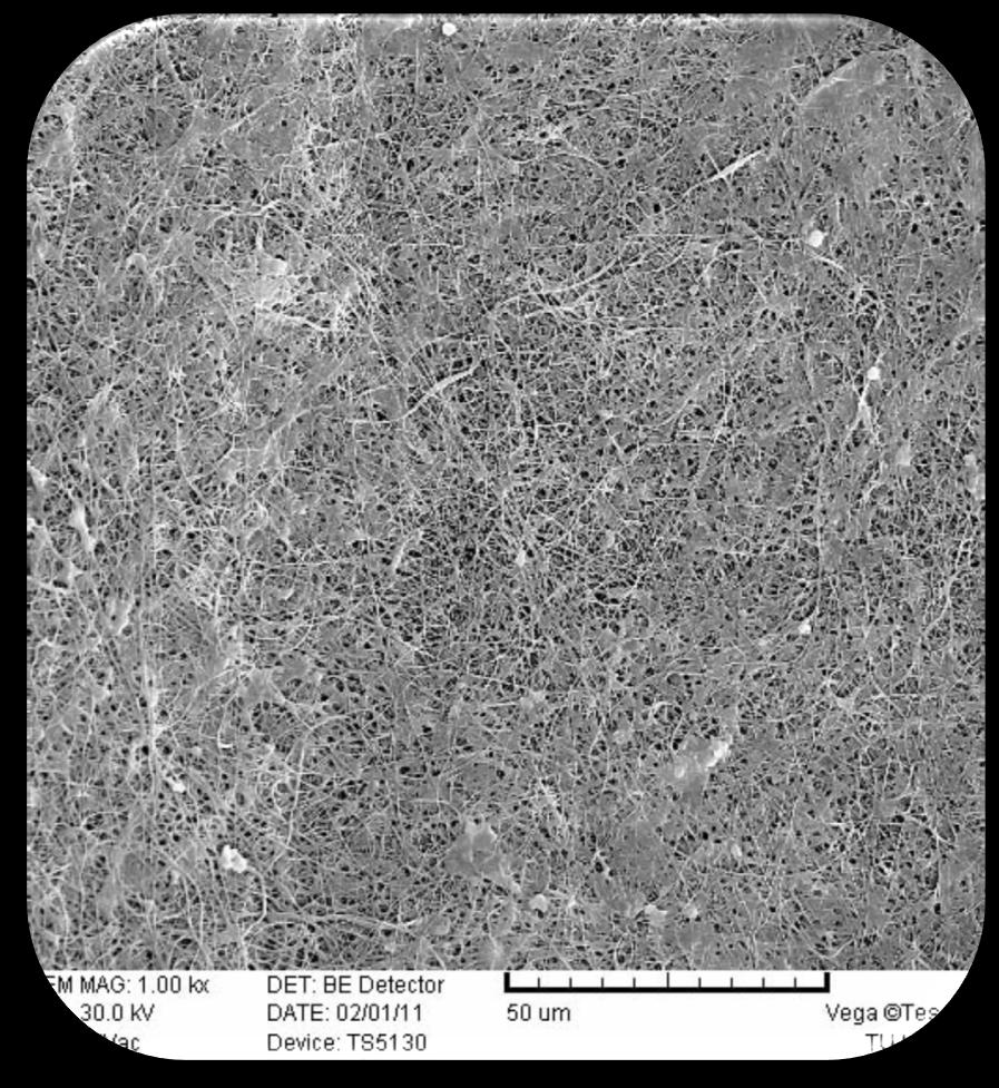 Nanokompetence Představení nanomembrány v Tokiu NANOPROTEX s.r.o. Viola EU s.r.o. nanovlákenný kompozitní materiál pro výrobu