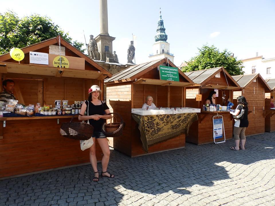 NÁŠ TÝM V uplynulém roce byl tým Krajanky složen z šesti osob: Vedoucí podniku: Bronislava Šafaříková (1,0 úvazek) Odborné garantky: Mgr. Andrea Fridmanská (0,25 úvazek) Finančního konzultanta: Ing.